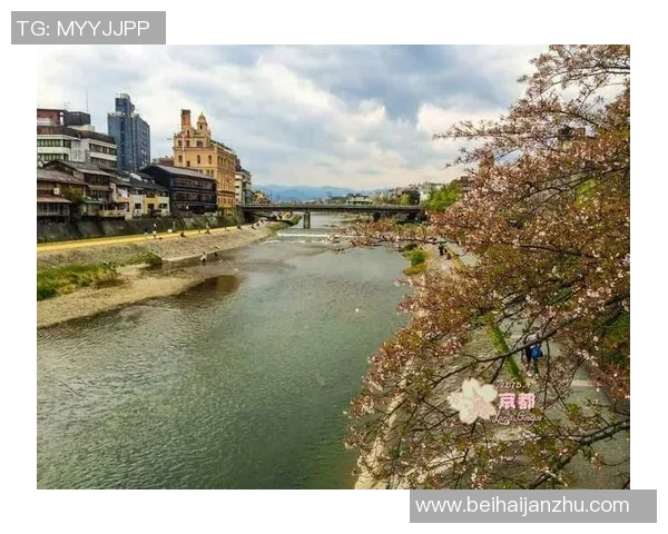 8月11日札幌冈萨多迎战大阪樱花精彩对决引发球迷热议